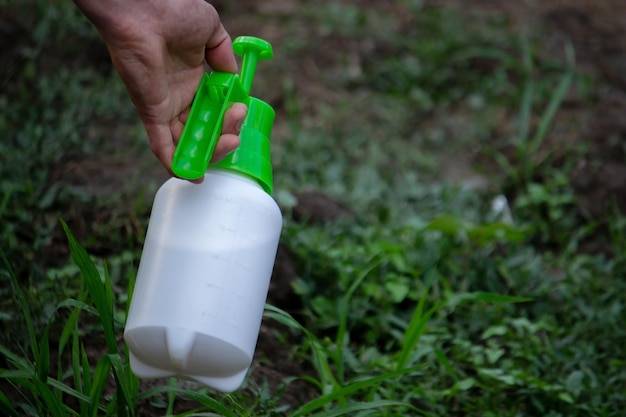 Jak działa Movento preparat na mszyce w ogrodzie?