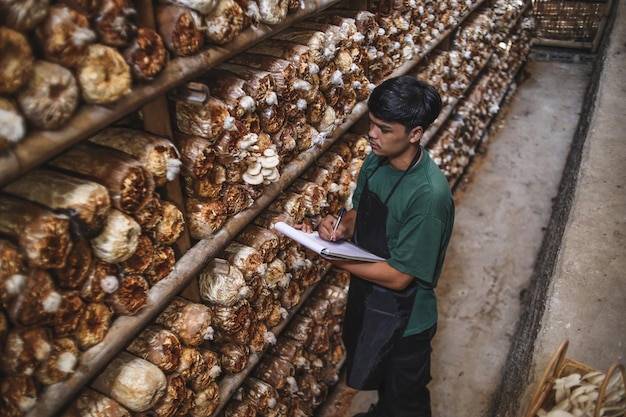 Czy hodowla kur się opłaca?