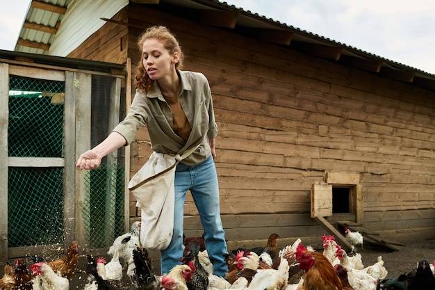 Czy w Polsce trzeba rejestrować kury?