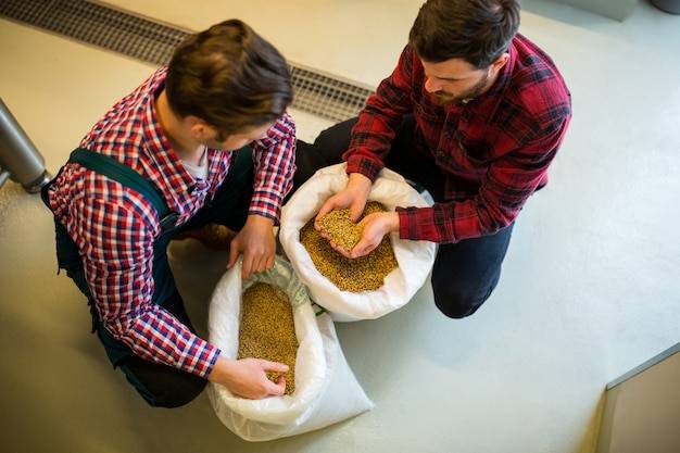 Jakie nawozy pod owies forum podpowiada rolnikom?