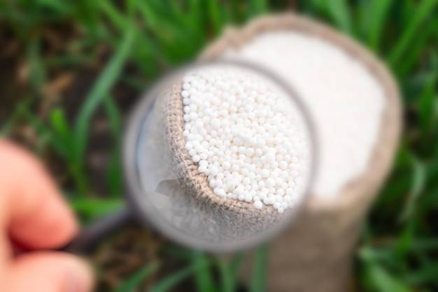 Siarczan amonu na co stosować w ogrodnictwie i rolnictwie?