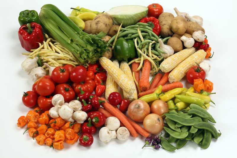 Dlaczego producenci wybierają Hurtownię nasion Agro-Plant?
